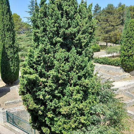 Grande Terrasse Et Vue Sur Le Site Antique Apartment Vaison-la-Romaine Luaran gambar